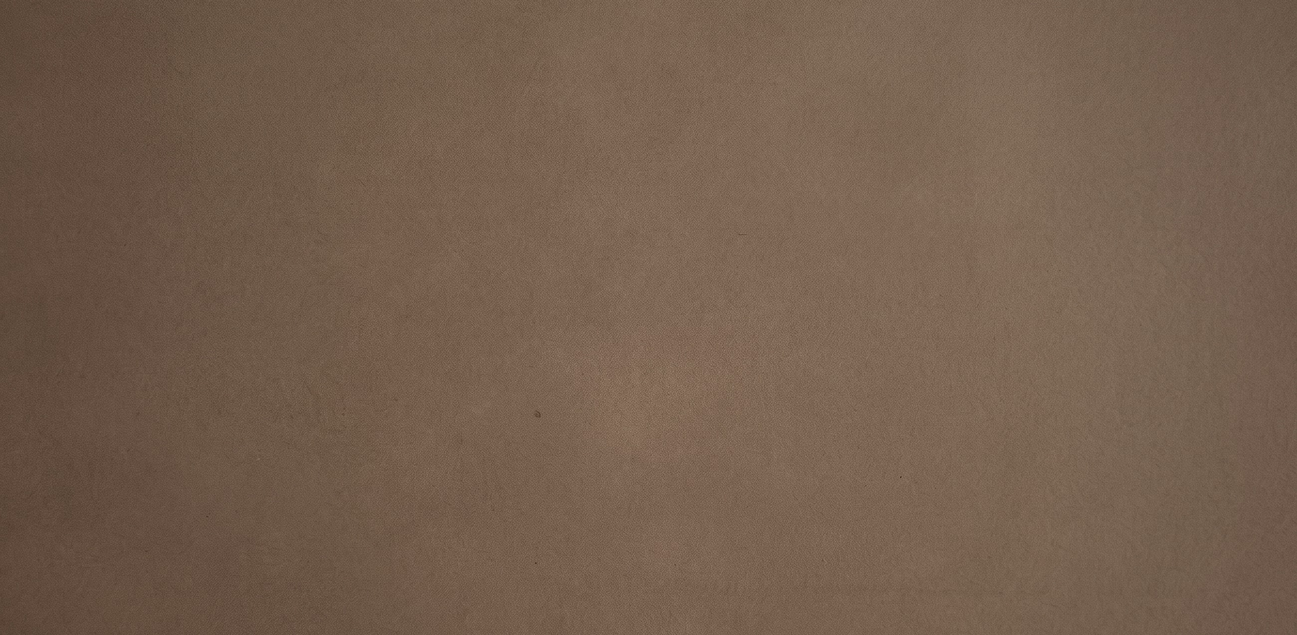 Brown textured surface background.